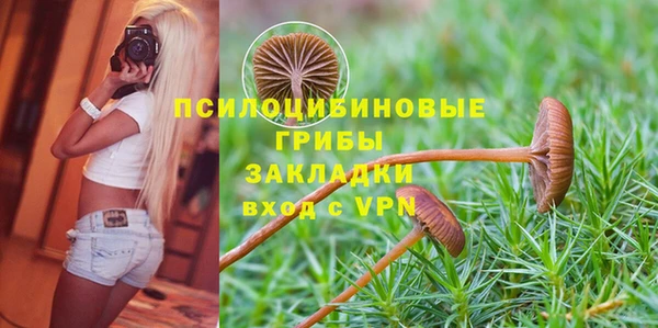 mdpv Тавда