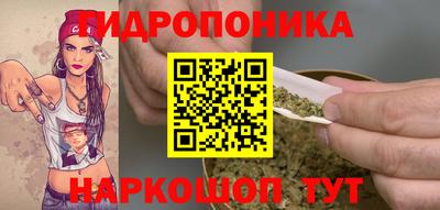 Альфа ПВП Канаш
