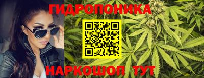 Альфа ПВП Канаш