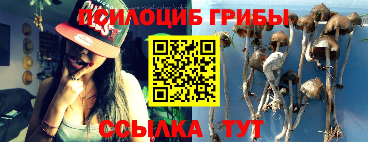 Псилоцибиновые грибы прущие грибы  как найти закладки  Псилоцибиновые грибы Magic Shrooms  Урус-Мартан  Вход с VPN 