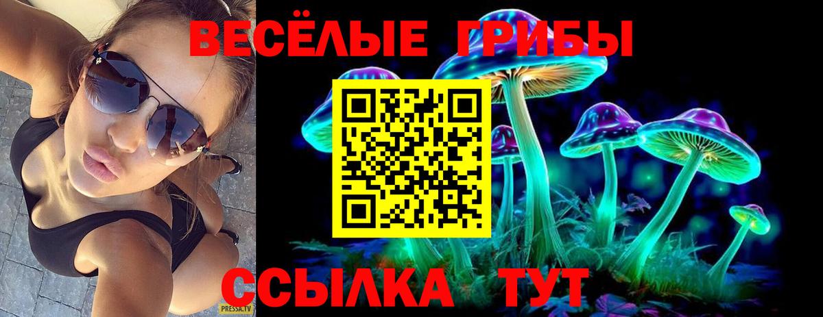 Галлюциногенные грибы Psilocybe  Урус-Мартан 